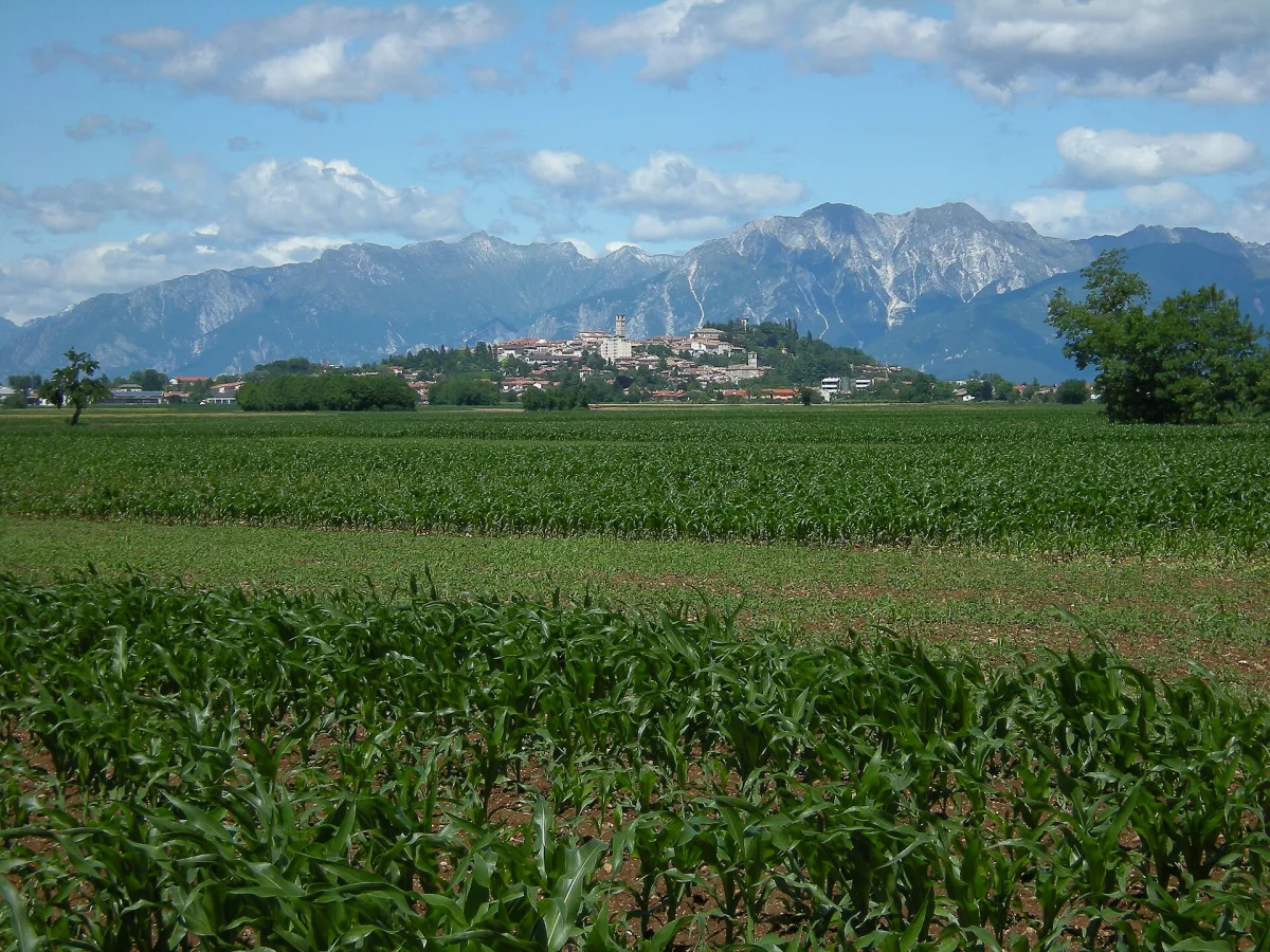 7 Giorni a San Daniele del Friuli: Un Viaggio tra Cultura e Gastronomia