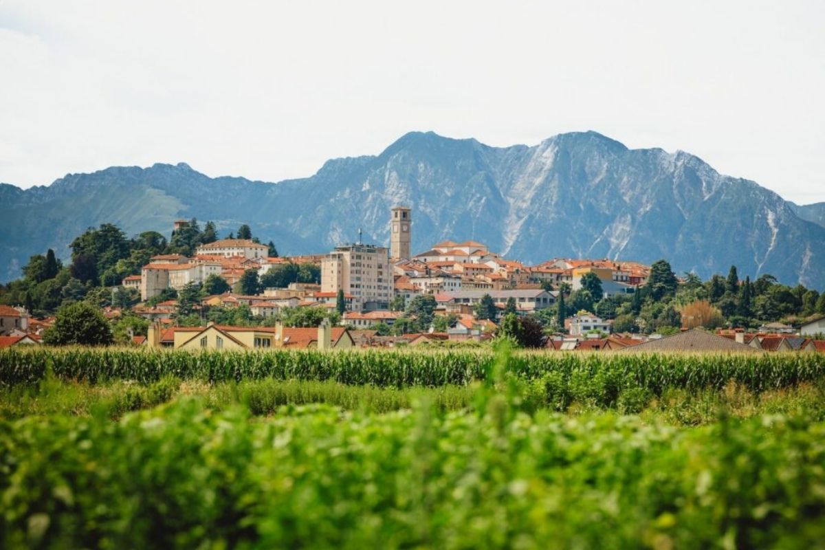 Panorama di San Daniele del Friuli con vista sui colli e i vigneti circostanti
