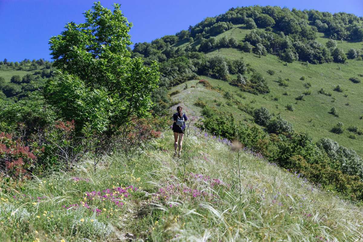 Famiglia in escursione tra i sentieri di San Daniele del Friuli