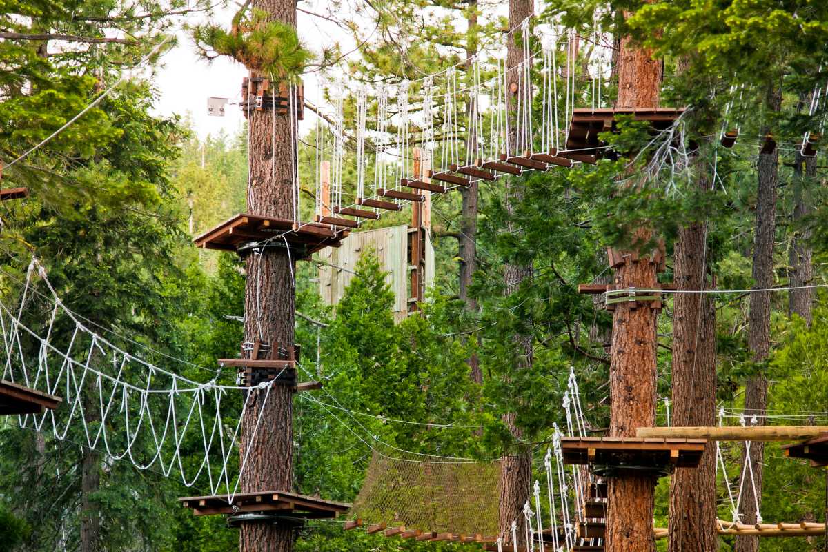 Bambini che giocano in un parco avventura a Tarvisio, con vista sulle montagne
