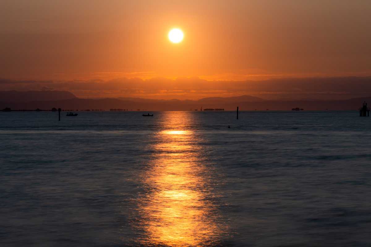Vista panoramica della Riserva Naturale Foci dello Stella durante il tramonto, con uccelli in volo